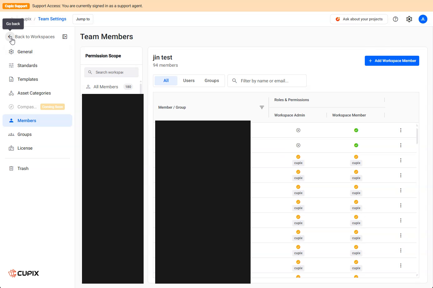 Team Settings › Members at workspace scope, showing the permission scope tree