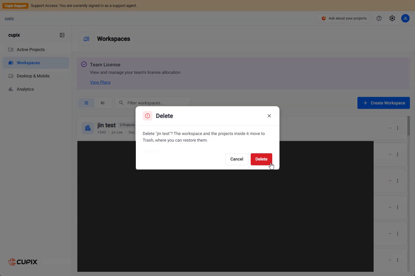 The Delete dialog for a workspace